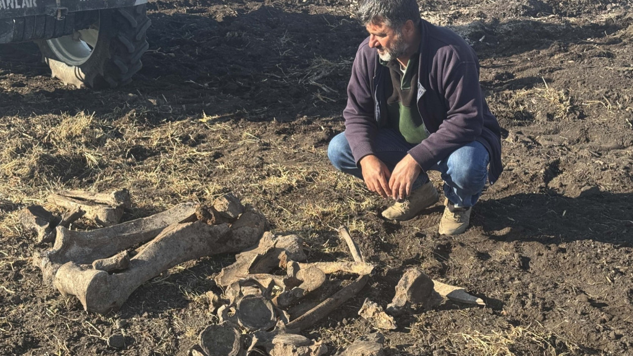 Kahramanmaraş’ta eşine az rastlanabilecek keşif: 600 yıllık fil kemikleri çıktı