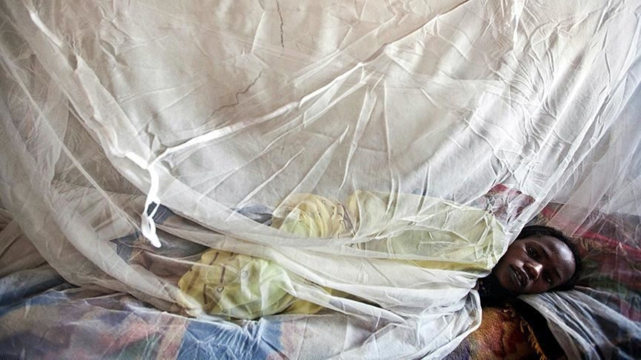 190 kişinin katili 'Lassa ateşi'