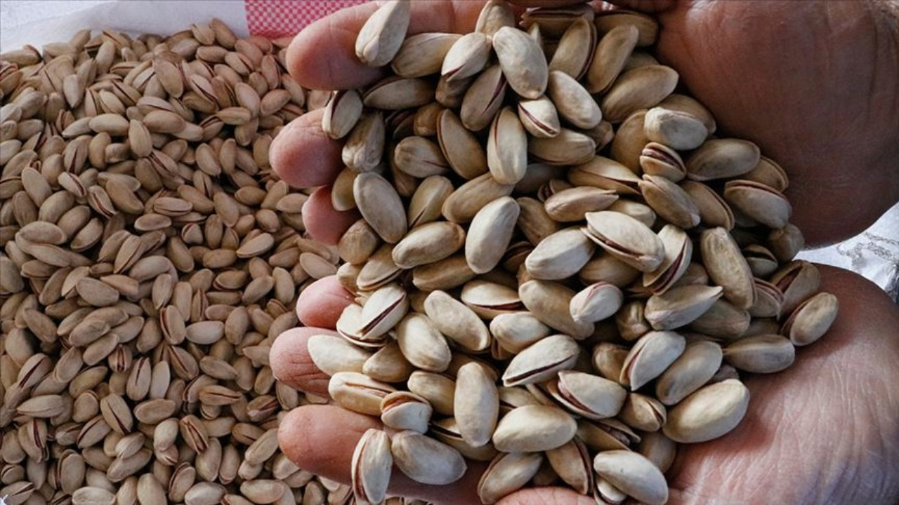 Bakanlık harekete geçti: Antep fıstığındaki zamma çözüm 'Suriye fıstığı'
