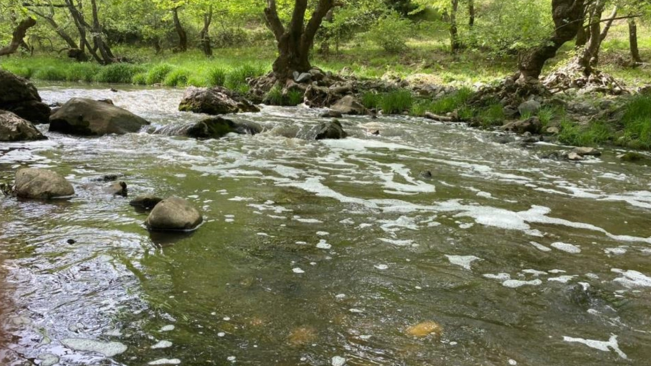 Ketenlik Deresi zehirle kaplandı
