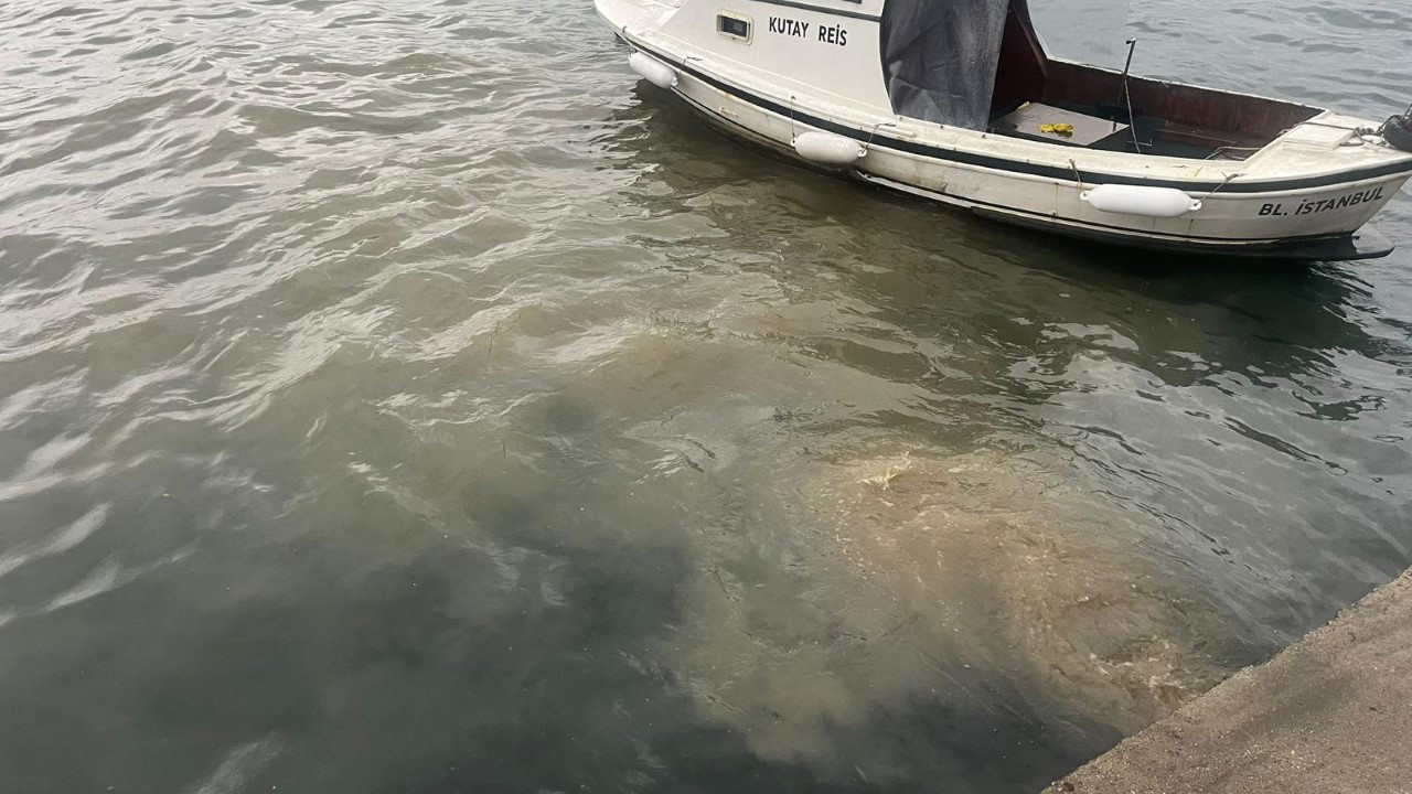 Bakanlıktan İstanbul’da atık su deşarjına inceleme