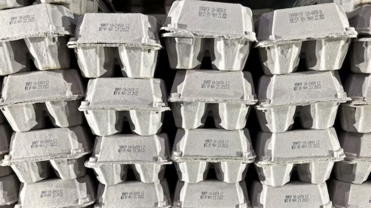 Amerika yumurta krizinin ortasında