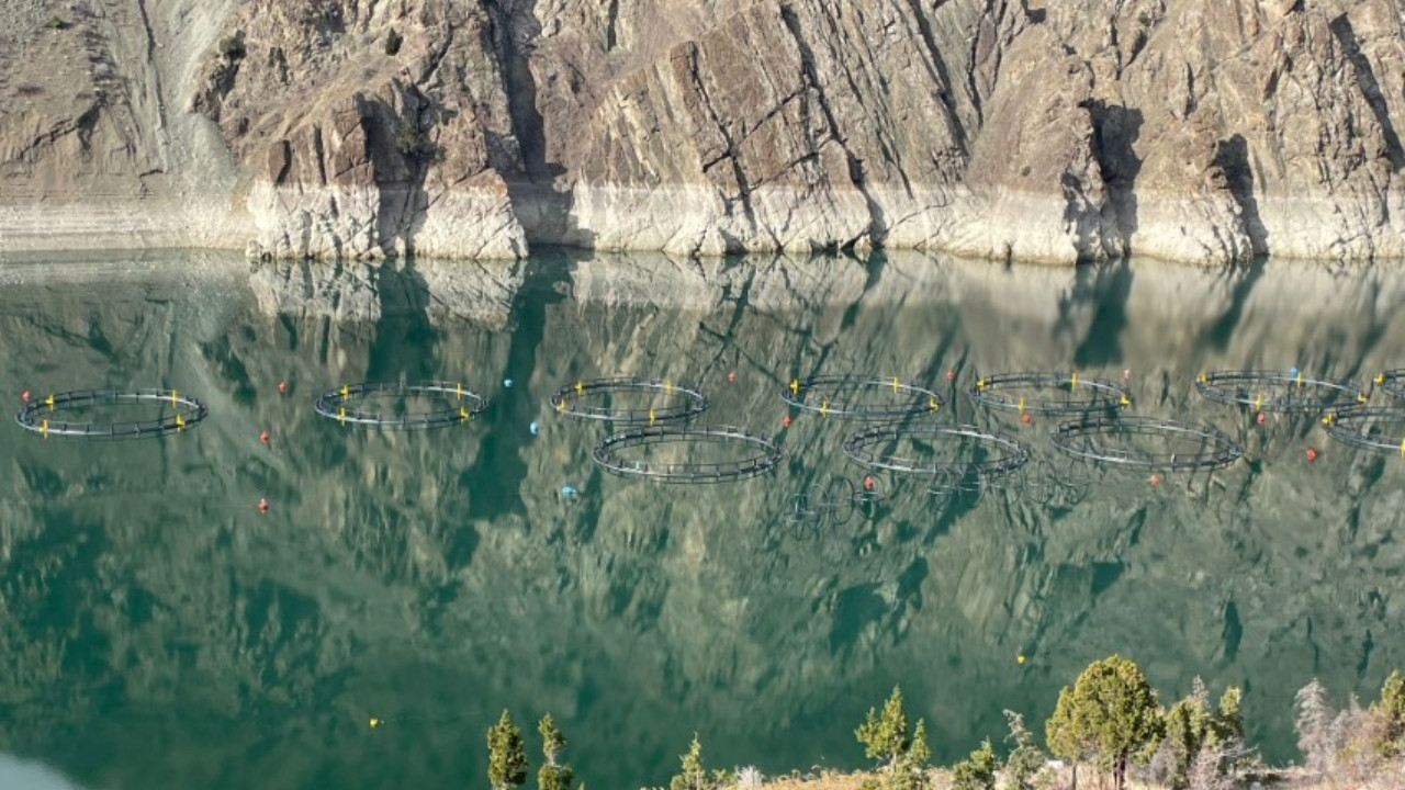 Baraj gölünde balık üretimi ile 3 milyar liralık gelir sağladılar