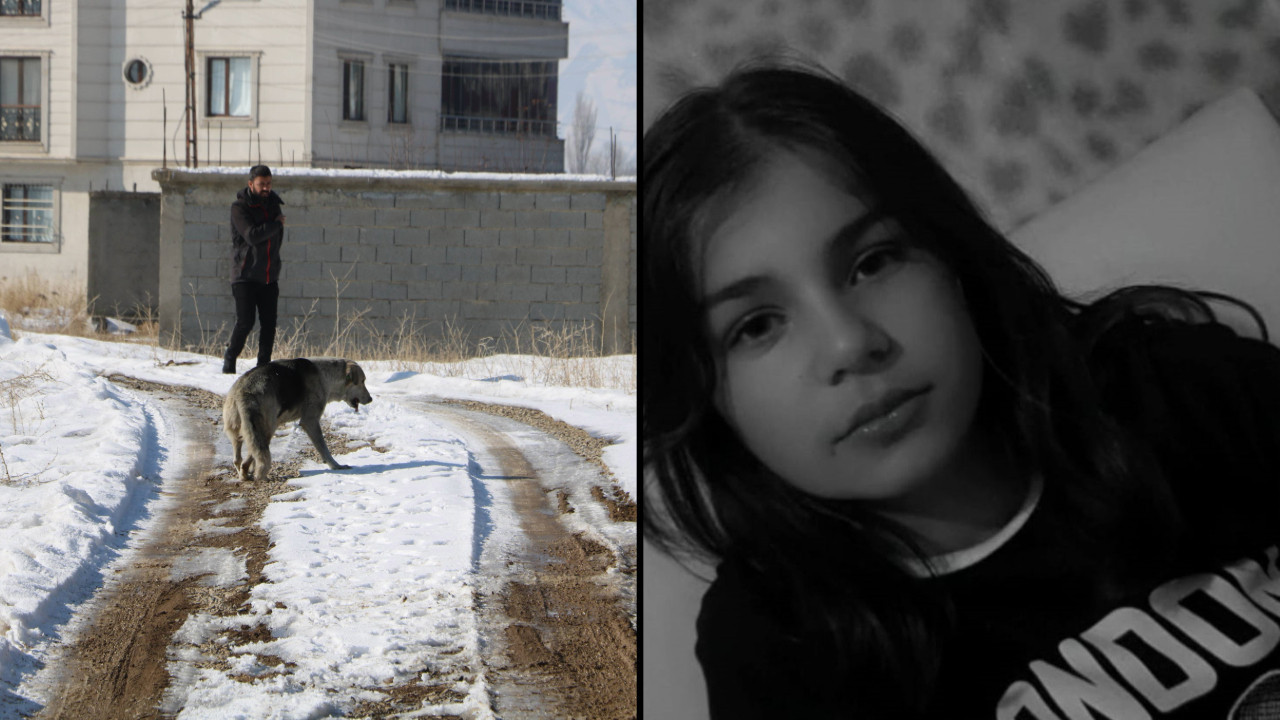 Yüksekova Belediyesi'ne sokak köpeği soruşturması