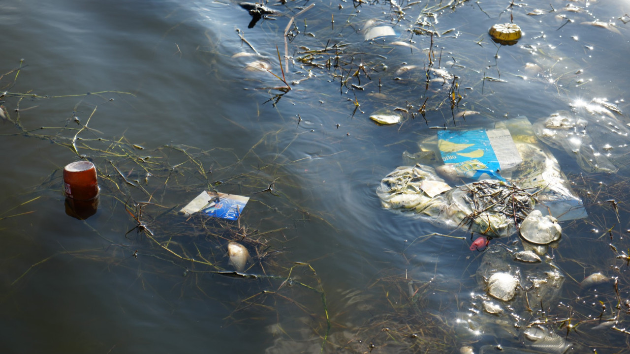 Çöplüğe dönen gölde balık ölümleri