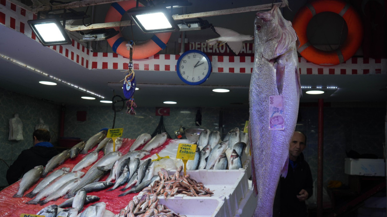120 santim boyunda dev minekop avladı: 6 bin liraya sattı