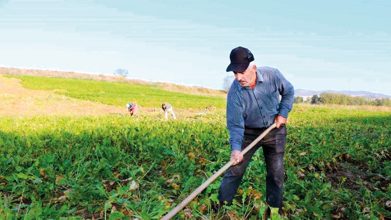 Çiftçi destekleri bugün hesaplara yatacak