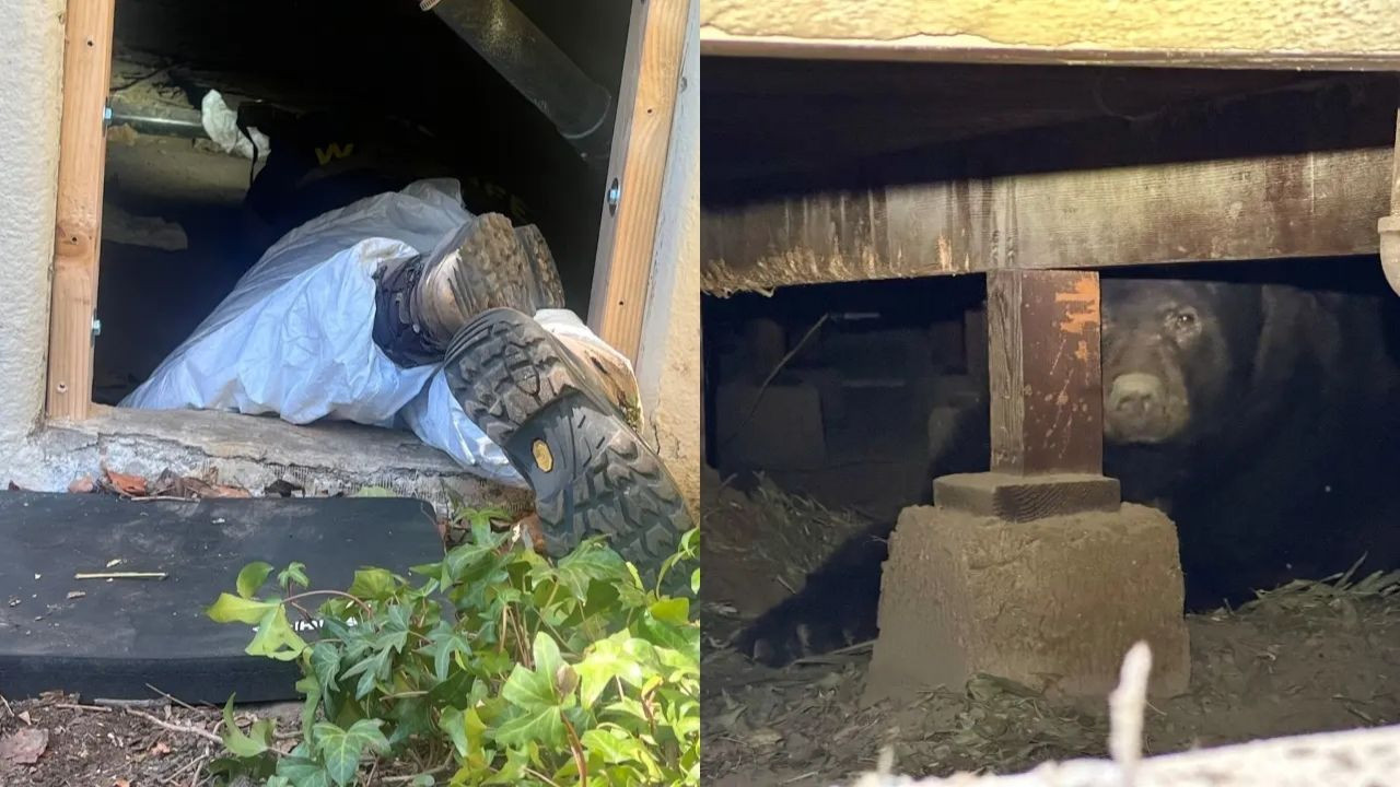 Los Angeles yangınlarından sonra evine döndü, sürprizle karşılaştı