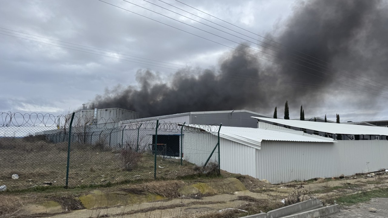 Edirne'de fabrika yangını