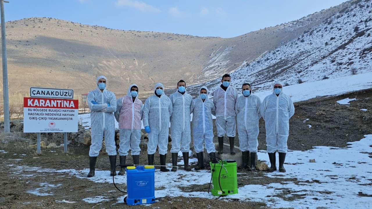 Bitlis'te şap alarmı: Bir köy karantinada