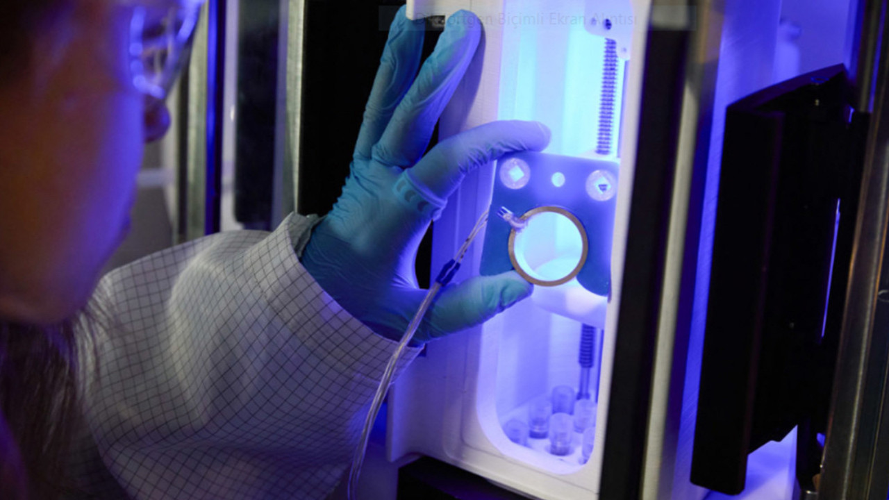 Kök hücre nakli felç hasarını tersine çevirebilir