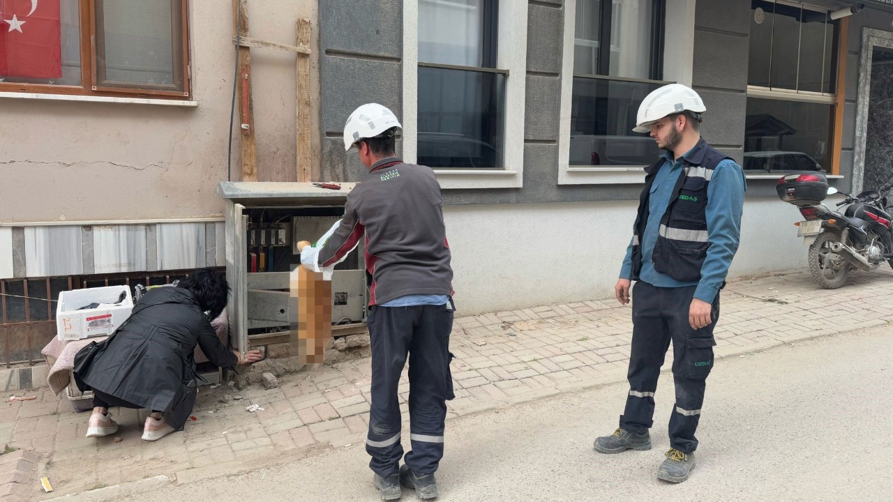 Erdek'te trafoya kedi girdi, elektrik kesintisi yaşandı