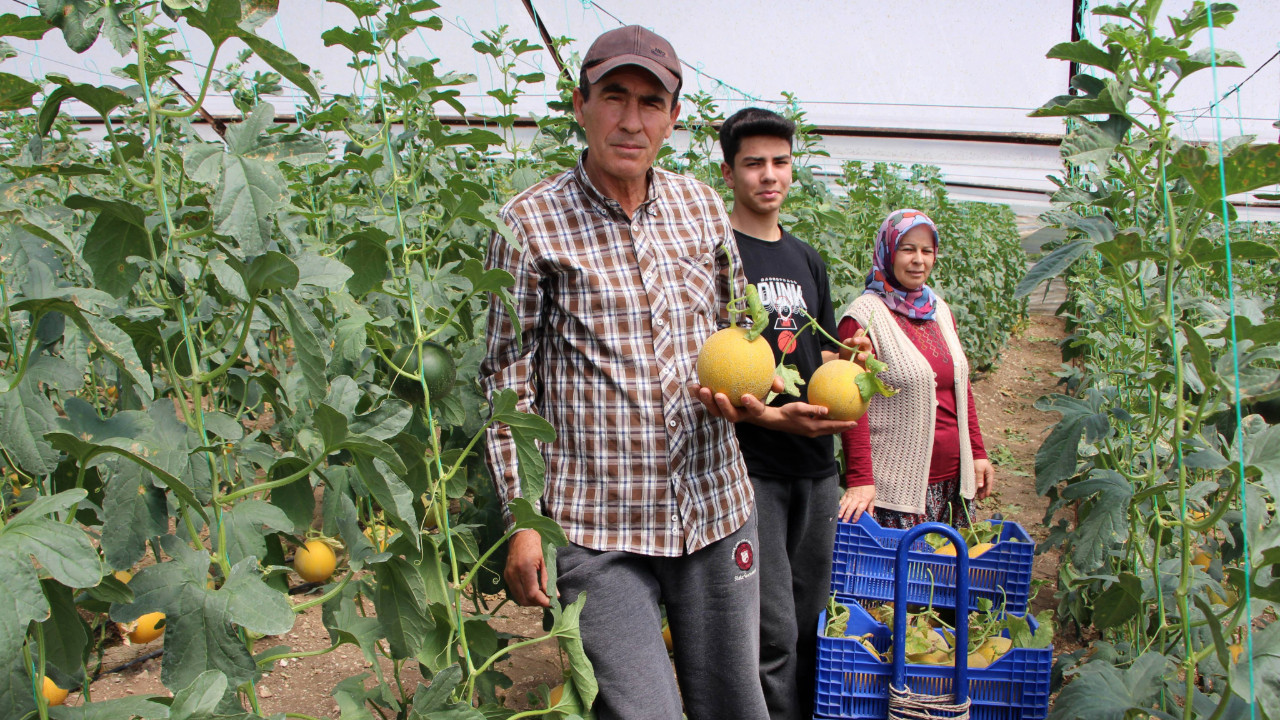 'Bu mevsimde olmaz' diyenleri takmadı, tanesini 300 TL'ye satıyor