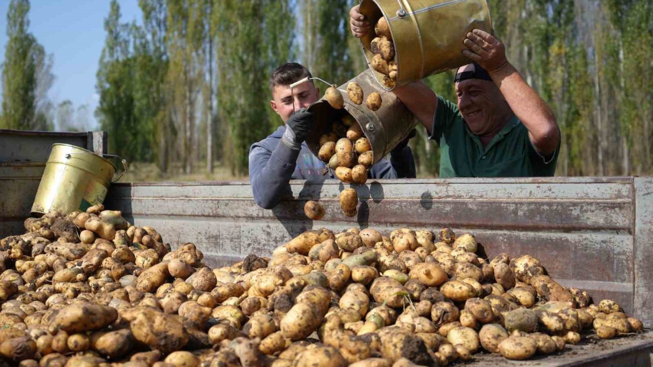 Tarımsal girdi enflasyonu ocakta yıllık yüzde 30,49 oldu