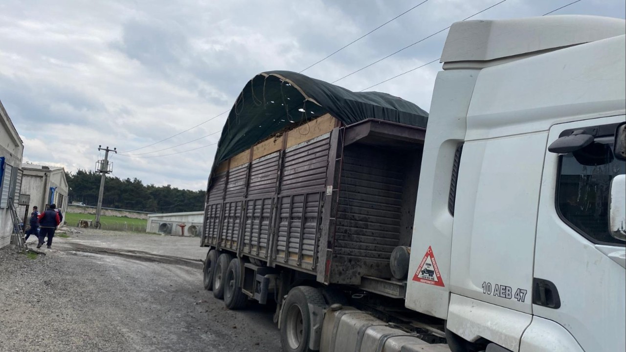 Elektrik akımına kapılan TIR şoförü öldü