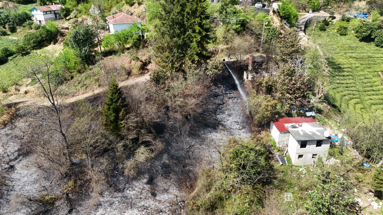 Trabzon'da örtü yangını: 4 dönüm alan zarar gördü