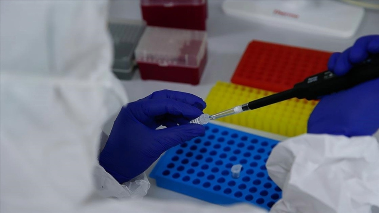 HPV'nin yol açtığı kanserden korunmak mümkün