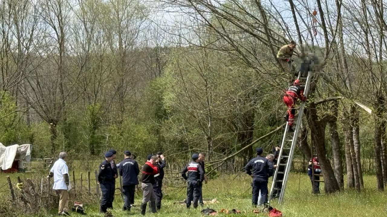 Ağaç budarken çıktığı dalda öldü