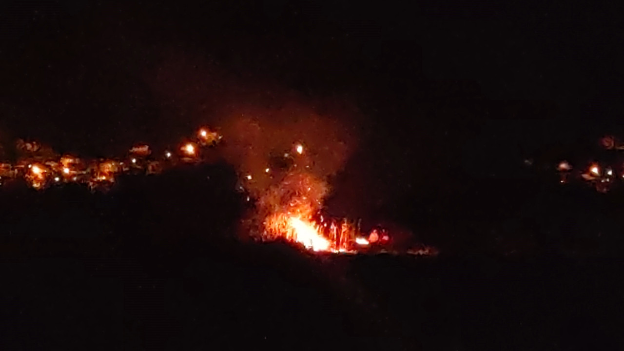 Birçok kuş türüne ev sahipliği yapıyordu: Alev alev yandı