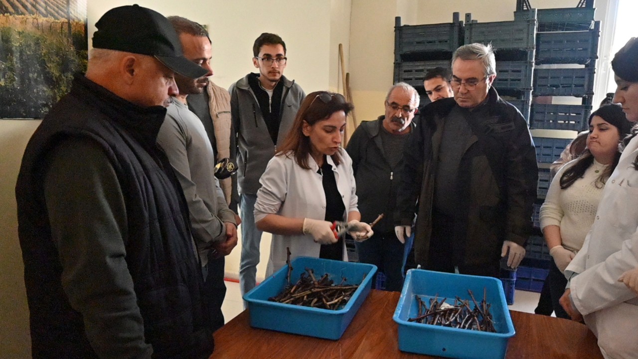 Tazelenme Üniversitesi: Sadece 55 yaş üstü girebiliyor