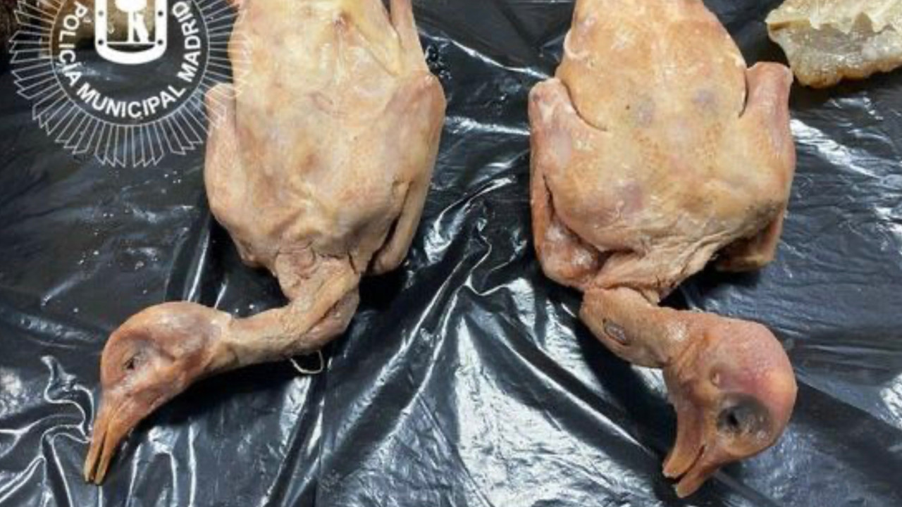 Yine restoranda sağlık rezaleti