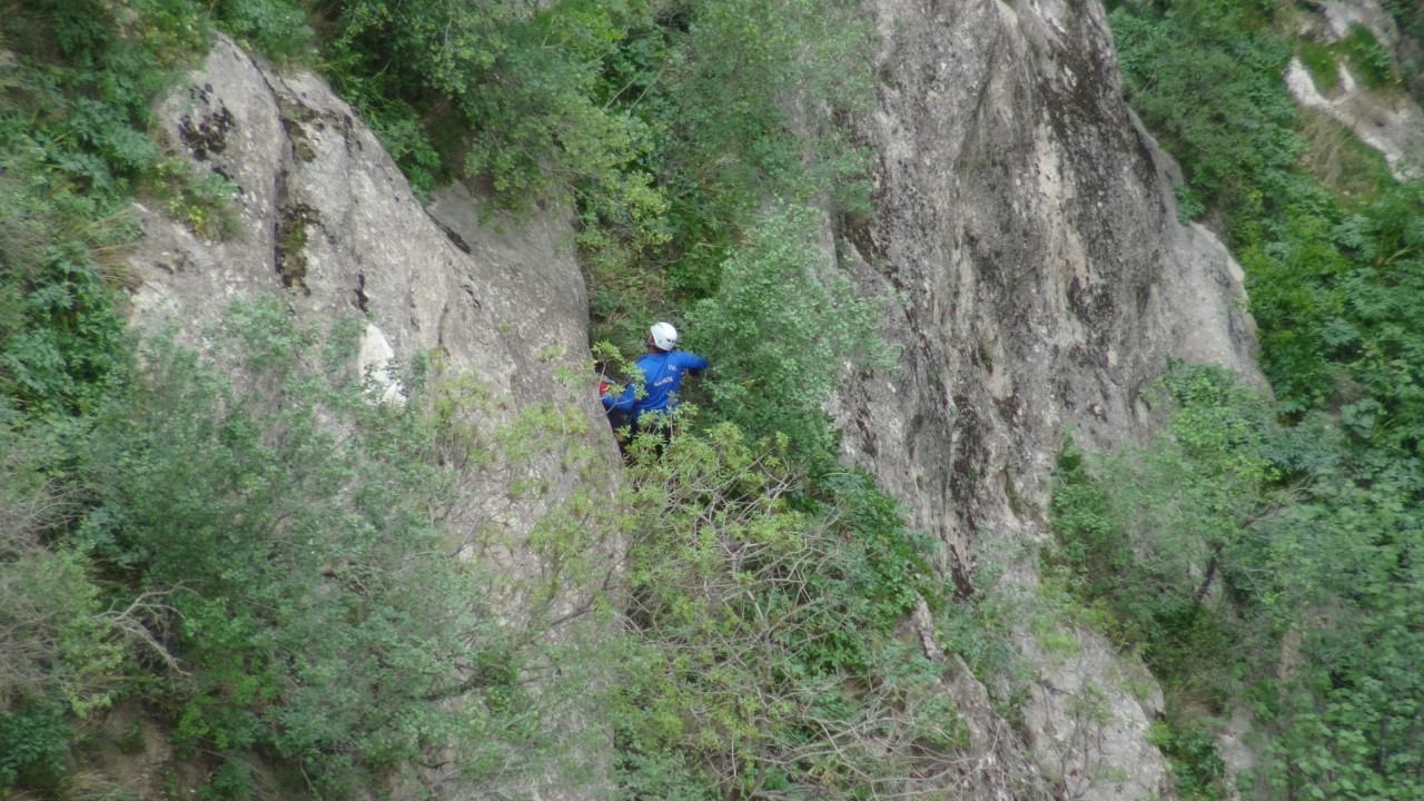400 metrelik kayalıklarda şifa peşinde: Yılan otu için canını hiçe saydı