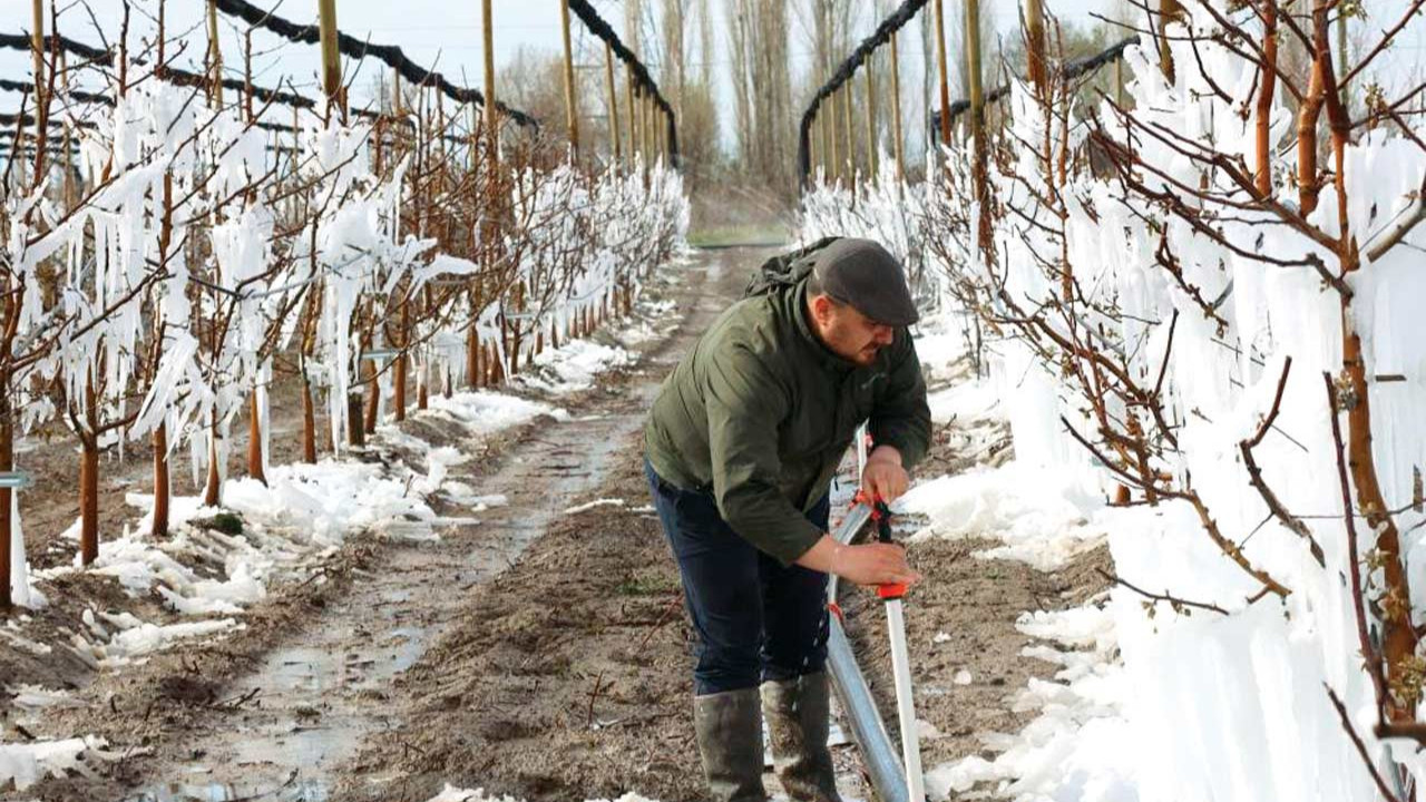 Tarım Bakanı açıkladı: Sigortasız çiftçiye ne olacak?