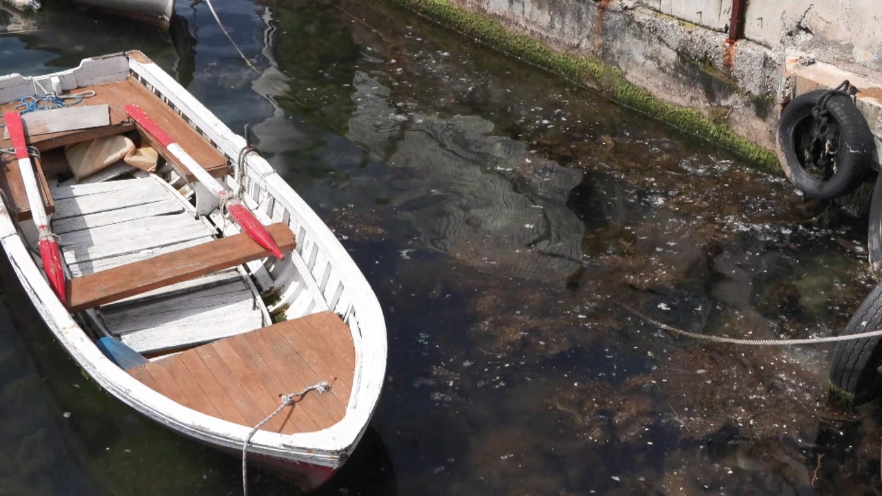 Marmara Denizi bağırıyor: Yılların kirliliği yine kıyıya vurdu