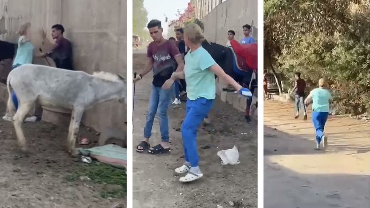 Eşeğini kırbaçlayan kişiyi döven kadın tutuklandı