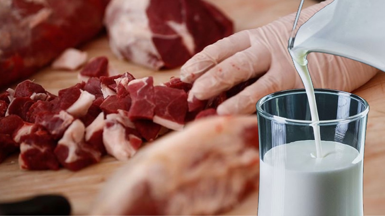 Et ve süt ürünlerinde 'Listeria' alarmı: Buzdolabında bile çoğalıyor