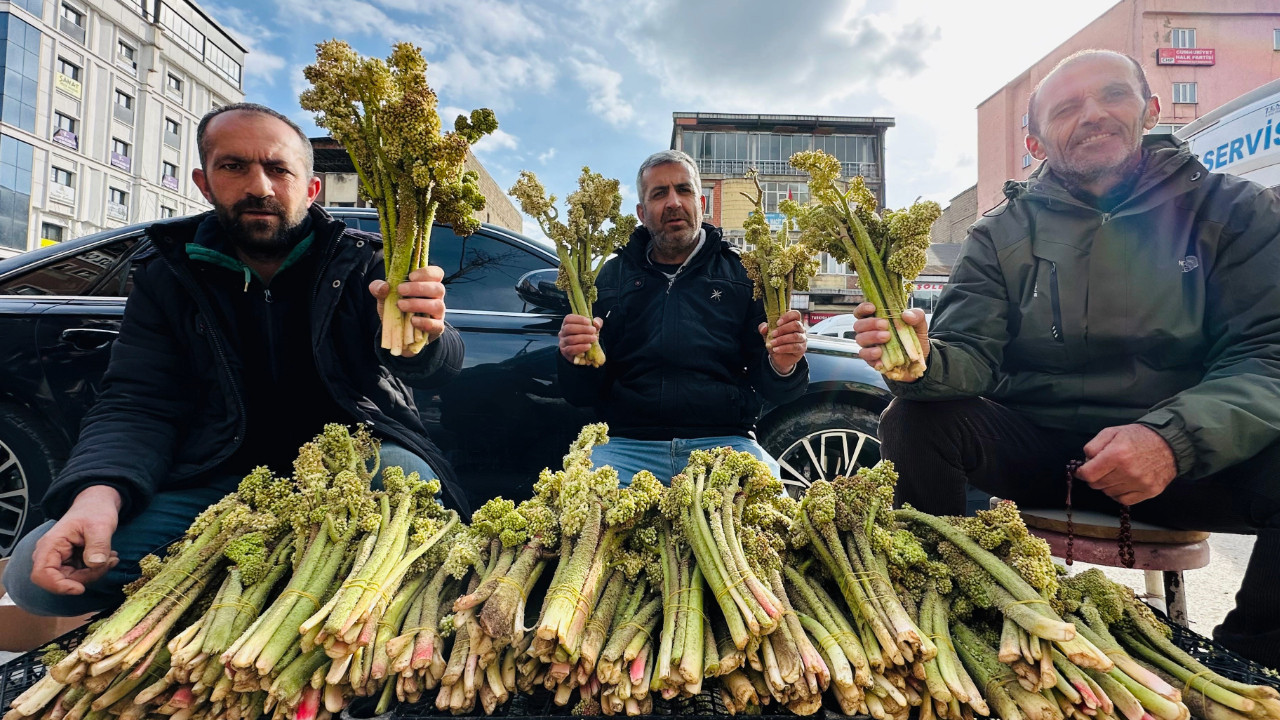 Yayla muzunun destesi 100 TL