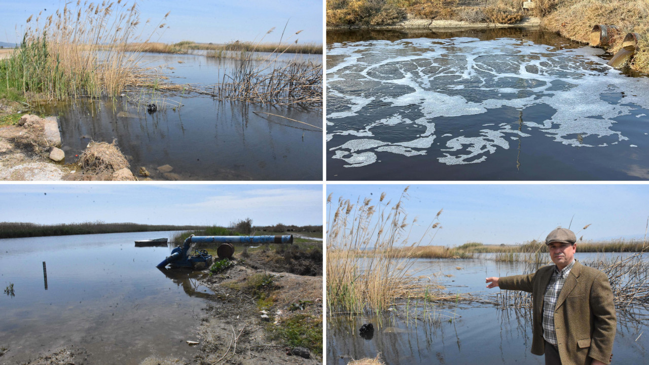 Gediz Nehri can çekişiyor: 'Ağlayasım geliyor', 'Suya dokunmaya korkar olduk'