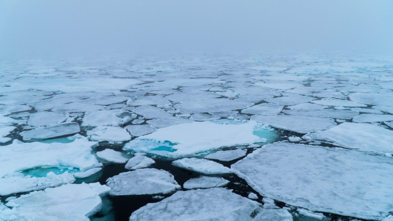 Arktik buz örtüsü son 40 yılın en düşük seviyesinde