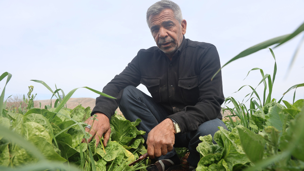 Çiftçi isyan etti: 'Tarlada 5 TL'ye veriyoruz, marketler 25 - 30 TL'ye satıyor'