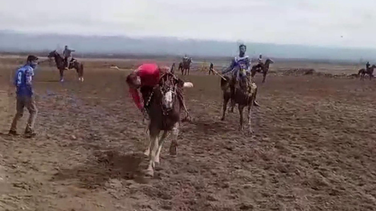 At üstünde kalp krizi geçirip öldü