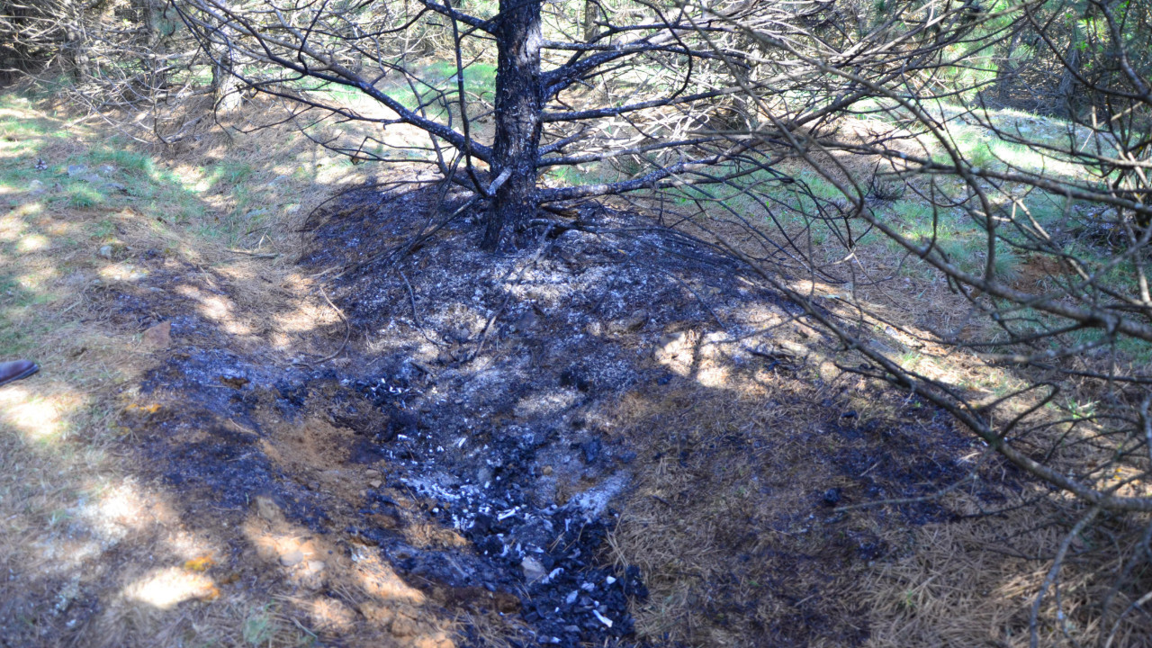 Günlerdir aranıyordu: Ormanda yakılarak öldürülmüş