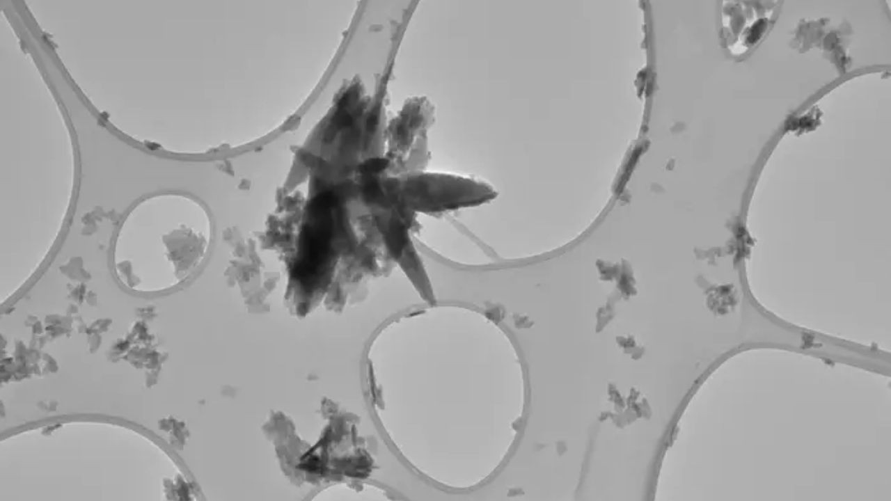 Mikroplastik gizemi: Felç ve kalp kriziyle bağlantılı olabilir