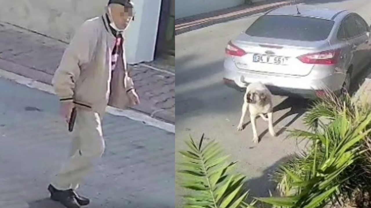 83 yaşındaki M.K. kendisine saldıran köpeği vurdu