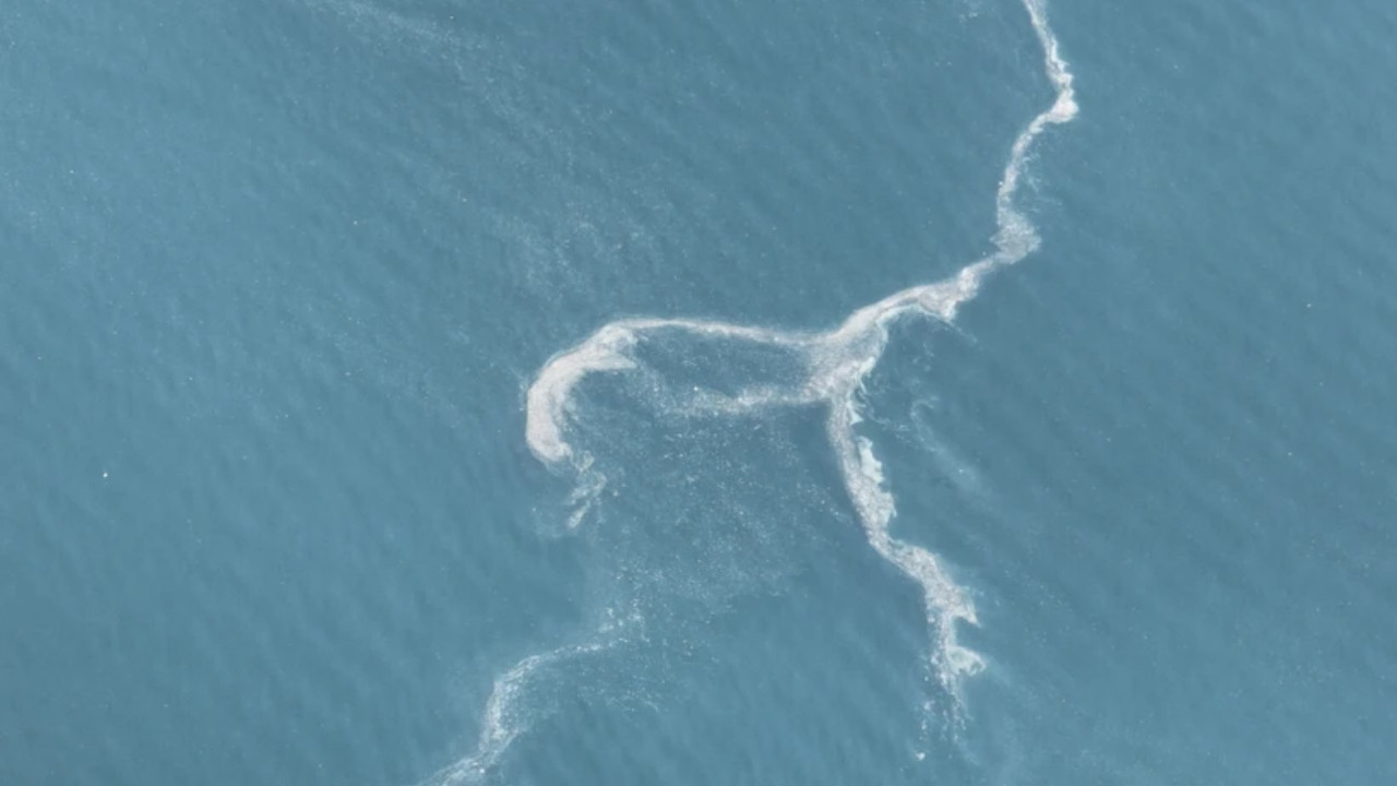 Prof. Dr. Doğanay Tolunay: Ergene müsilaja neden oluyor