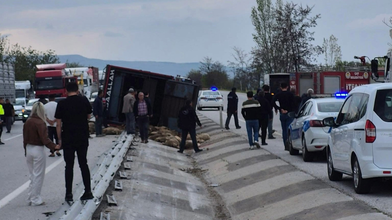 Korkunç kaza: Kamyon devrildi, onlarca koyun öldü
