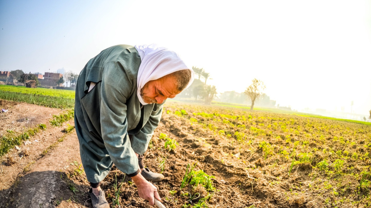 Bilim insanları: Bu egzersiz ömrü uzatıyor