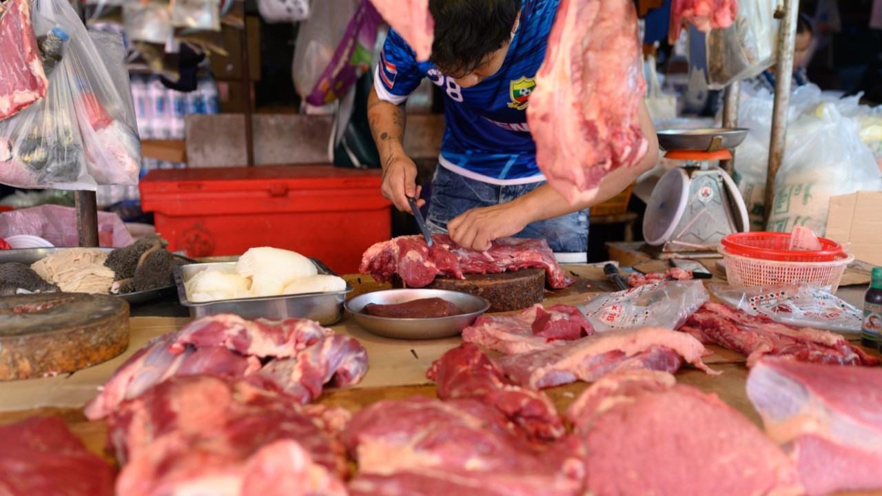 Ülkede panik: 30 yıl sonra şarbon can aldı