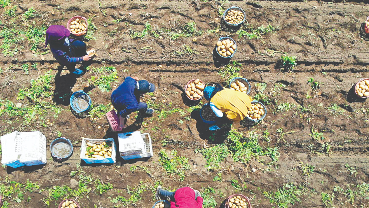 Çiftçiyi kredi afeti bekliyor