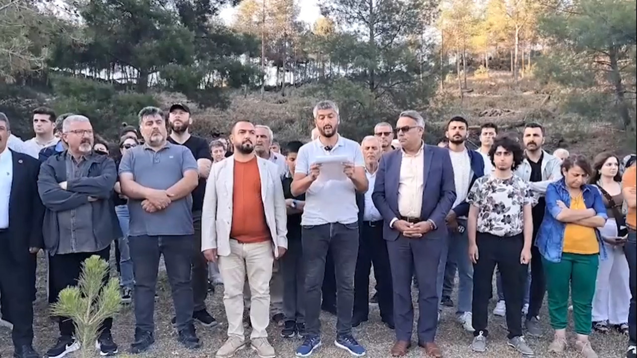 Hatay'da vatandaşa rahat yok: Ağaçları kestirmemek için direniyorlar