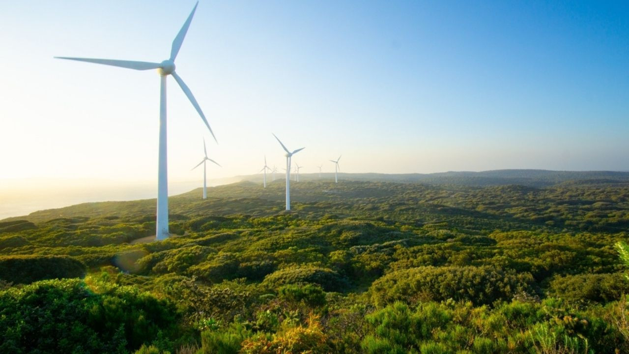 Böyle tartışma görülmedi: Rüzgarımı çaldın!
