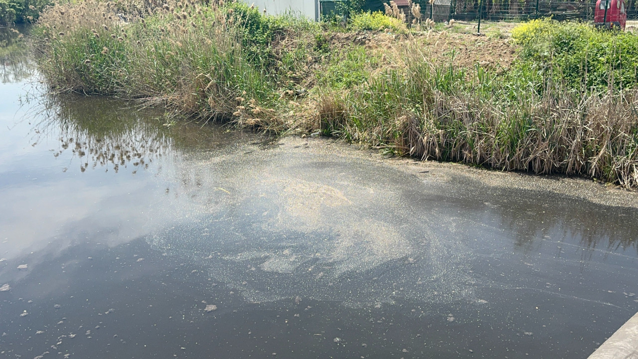 Yalova'da kanalizasyon suyu denize karıştı