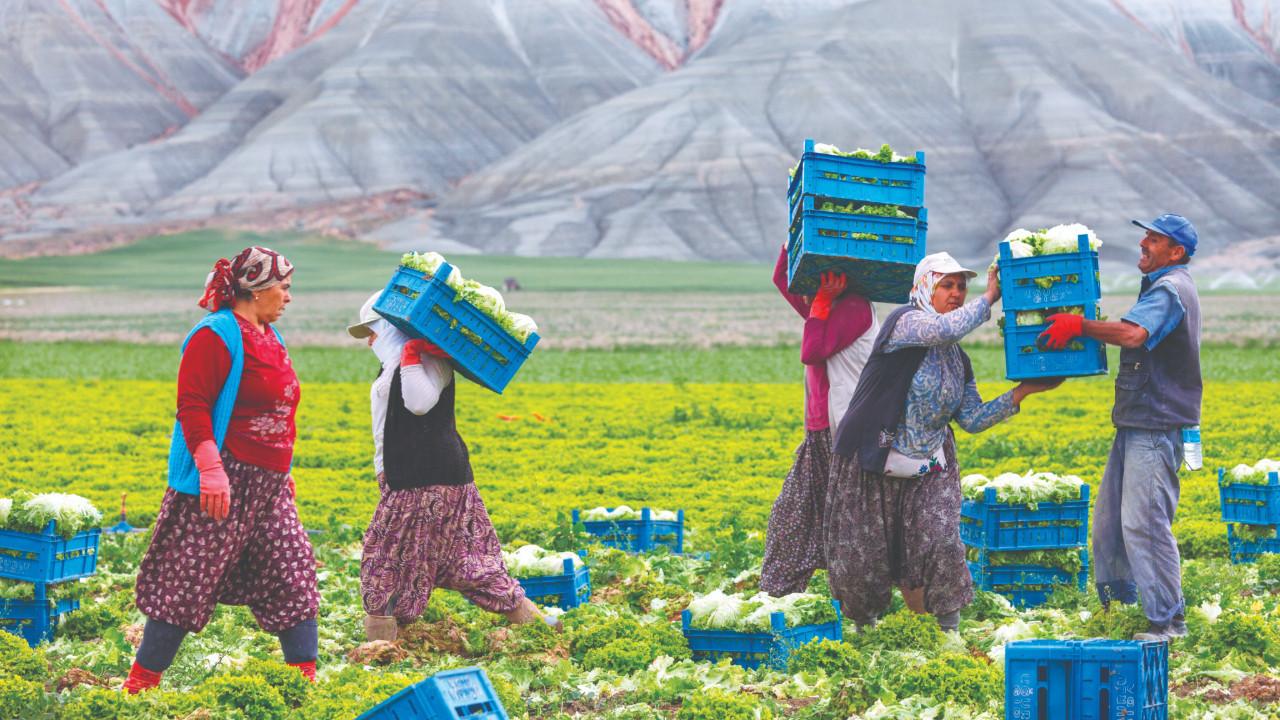 24 yıldır çiftçinin yüzü gülmüyor