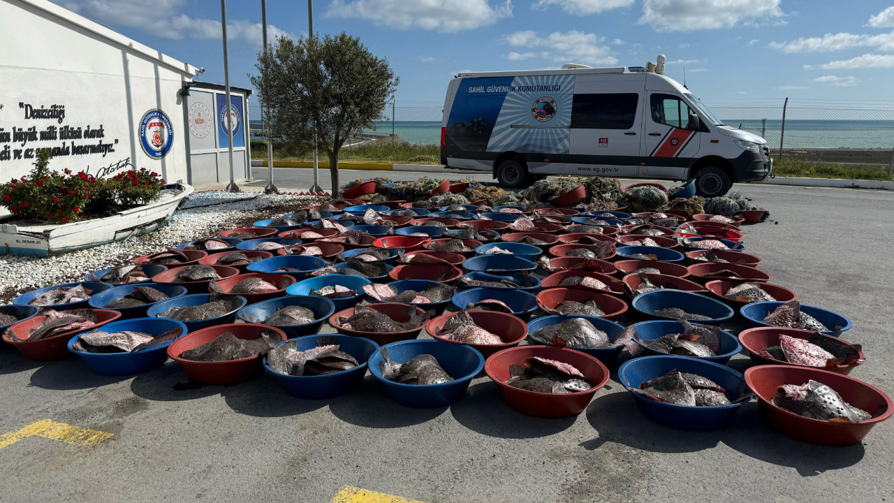 Arnavutköy'de 900 kalkan balığına el konuldu