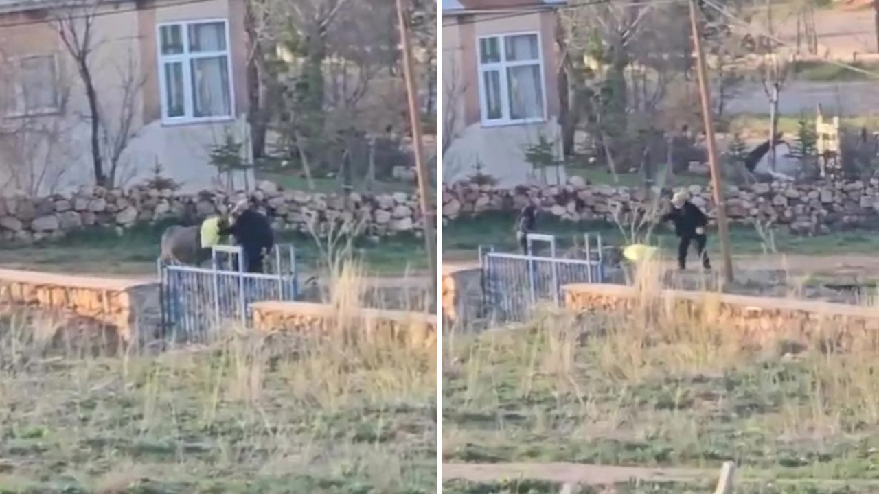 Başına çuval geçirdiği eşeği döve döve öldürdü