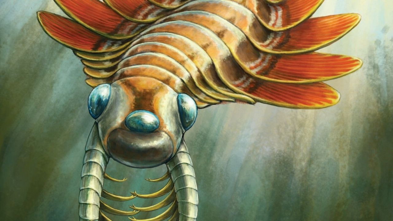 En şaşırtıcı özelliği üç gözlü olması değil